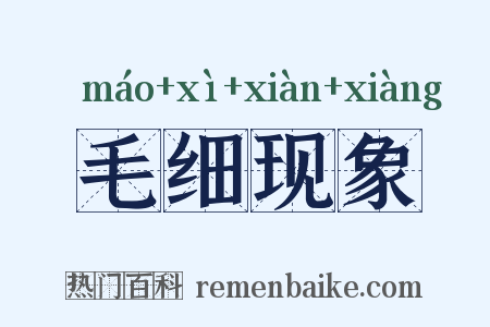 毛细现象是什么意思的图片